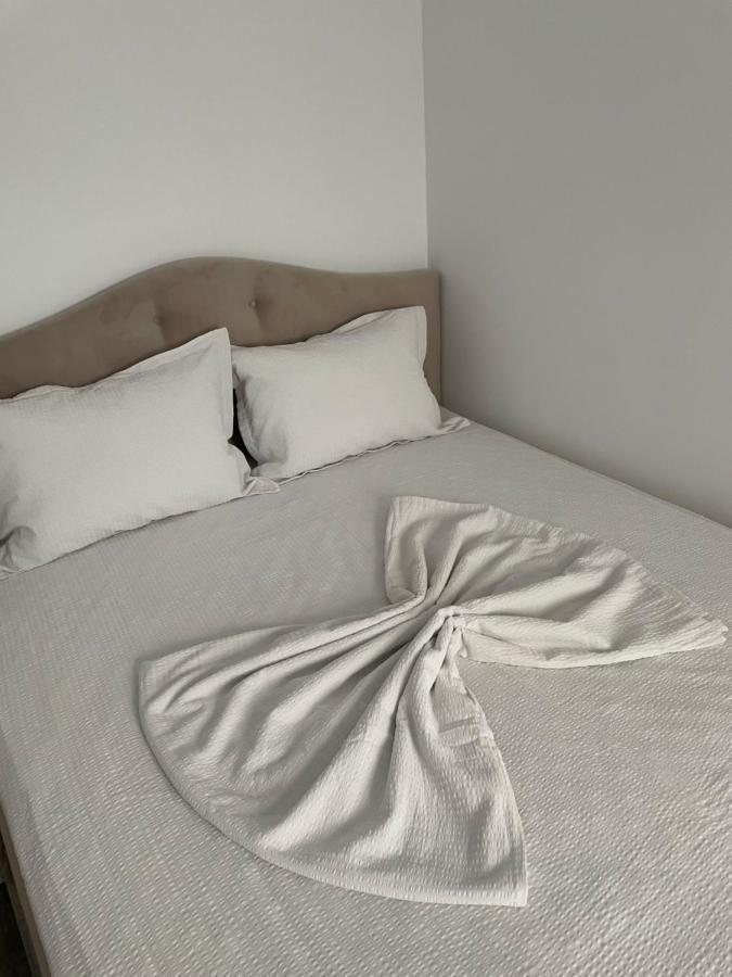 Apartament Luxor Eforie Nord 阿吉贾乡 外观 照片